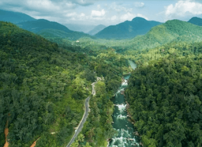 Screenshot 2025-01-25 at 19.06.37