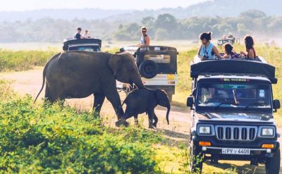 Wildlife-Safari-Sri-Lanka