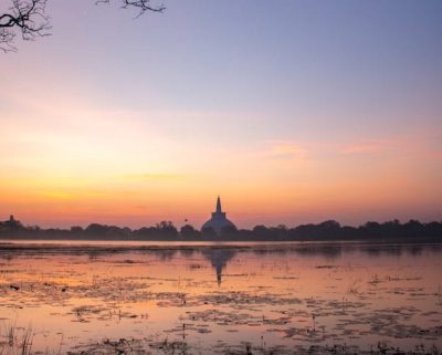 chathura-anuradha-subasinghe-C8pDzIKgWX0-unsplash